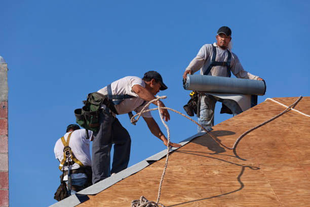 Roof Gutter Cleaning in Easton, MD