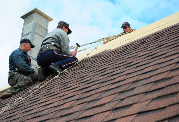 Quick and Trustworthy Emergency Roof Repair Services in Easton, MD